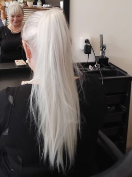 Dlouhý culík na skřipci 51