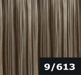 #9/613